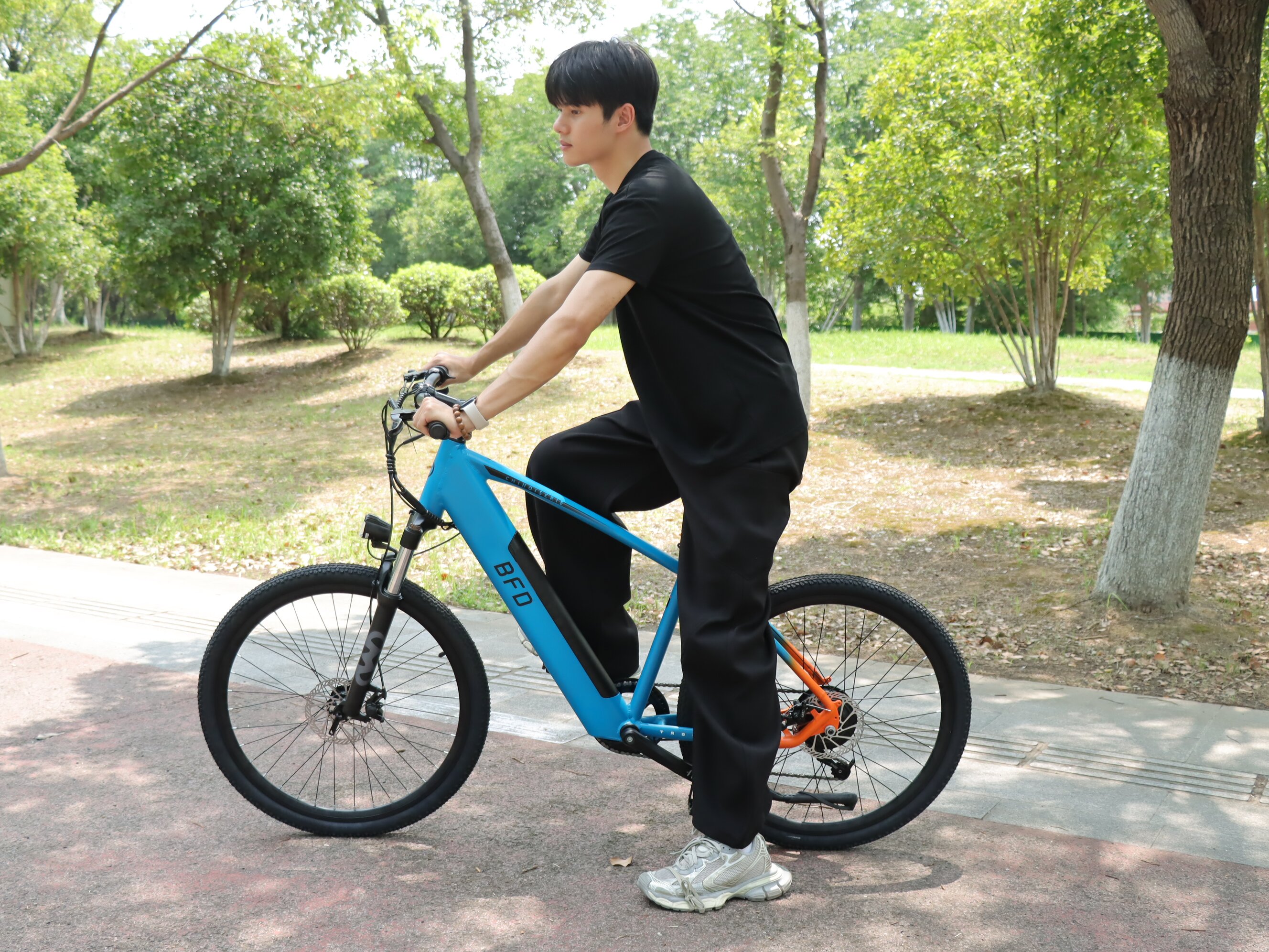 Electric Mountain Bike Al Fram - Mountain Biking App review and price